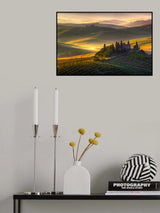 Of green and gold Poster och Canvastavla