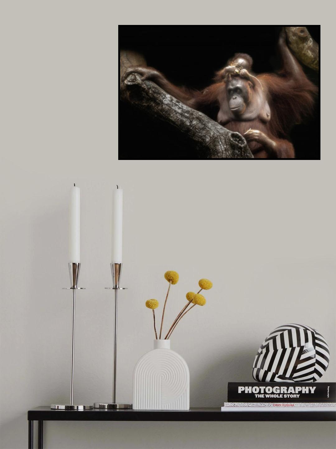 Cute baby Poster och Canvastavla