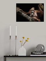Cute baby Poster och Canvastavla