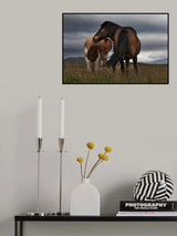 Friendly Protection Poster och Canvastavla