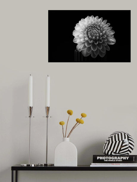 Dahlia Poster och Canvastavla