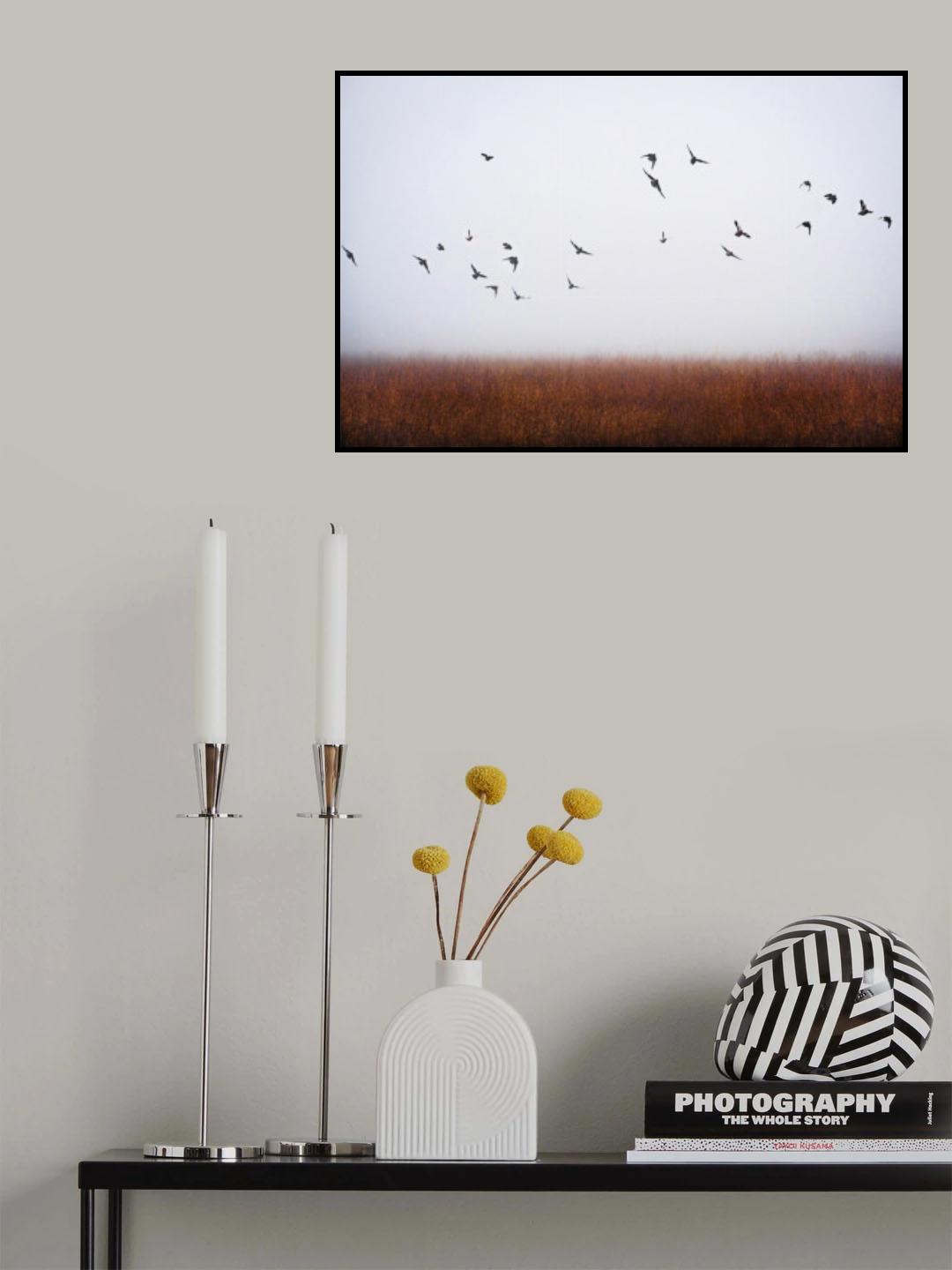 freedom Poster och Canvastavla