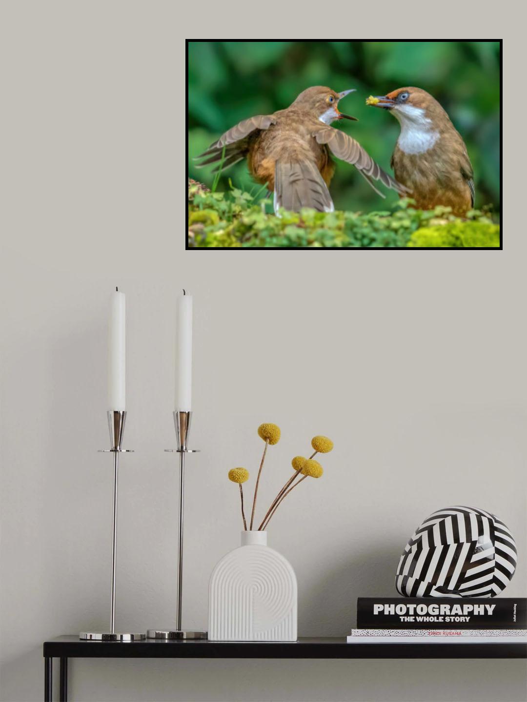 Come on Maa Poster och Canvastavla
