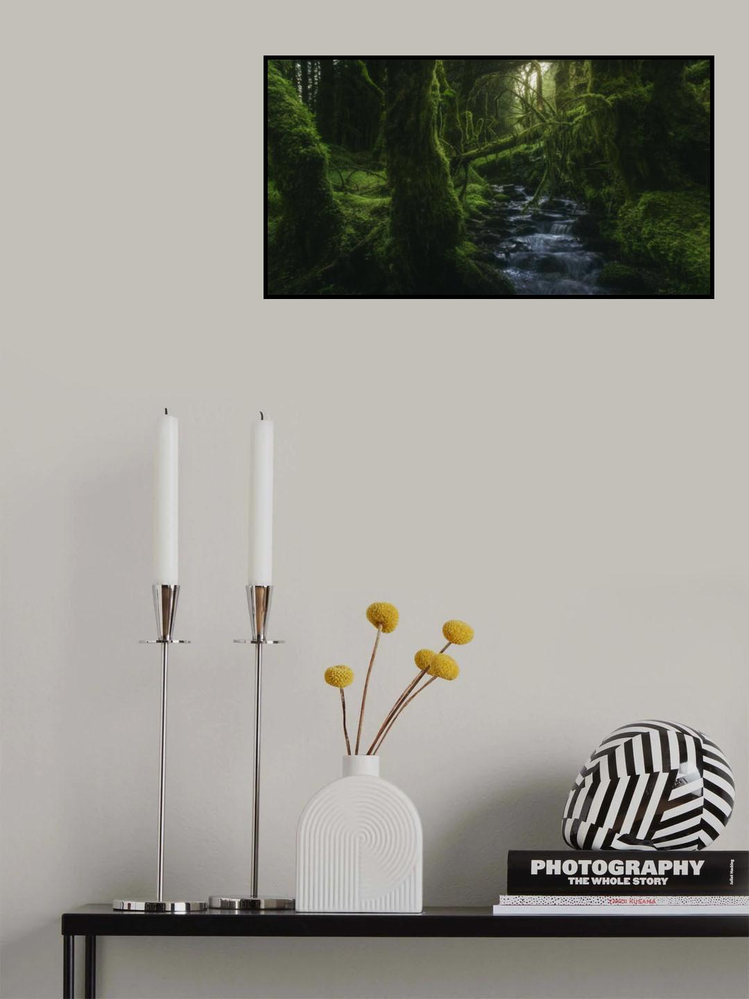 Hidden Wood Poster och Canvastavla