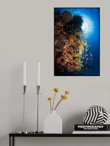 Life explosion Poster och Canvastavla