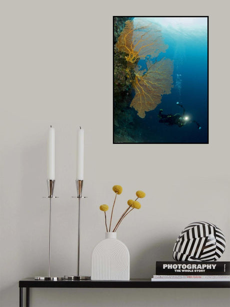 Gorgonia and a diver Poster och Canvastavla
