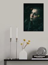 Behind the web..... Poster och Canvastavla