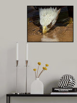 Cool Drink on a Hot Day Poster och Canvastavla