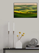 Green fields Poster och Canvastavla