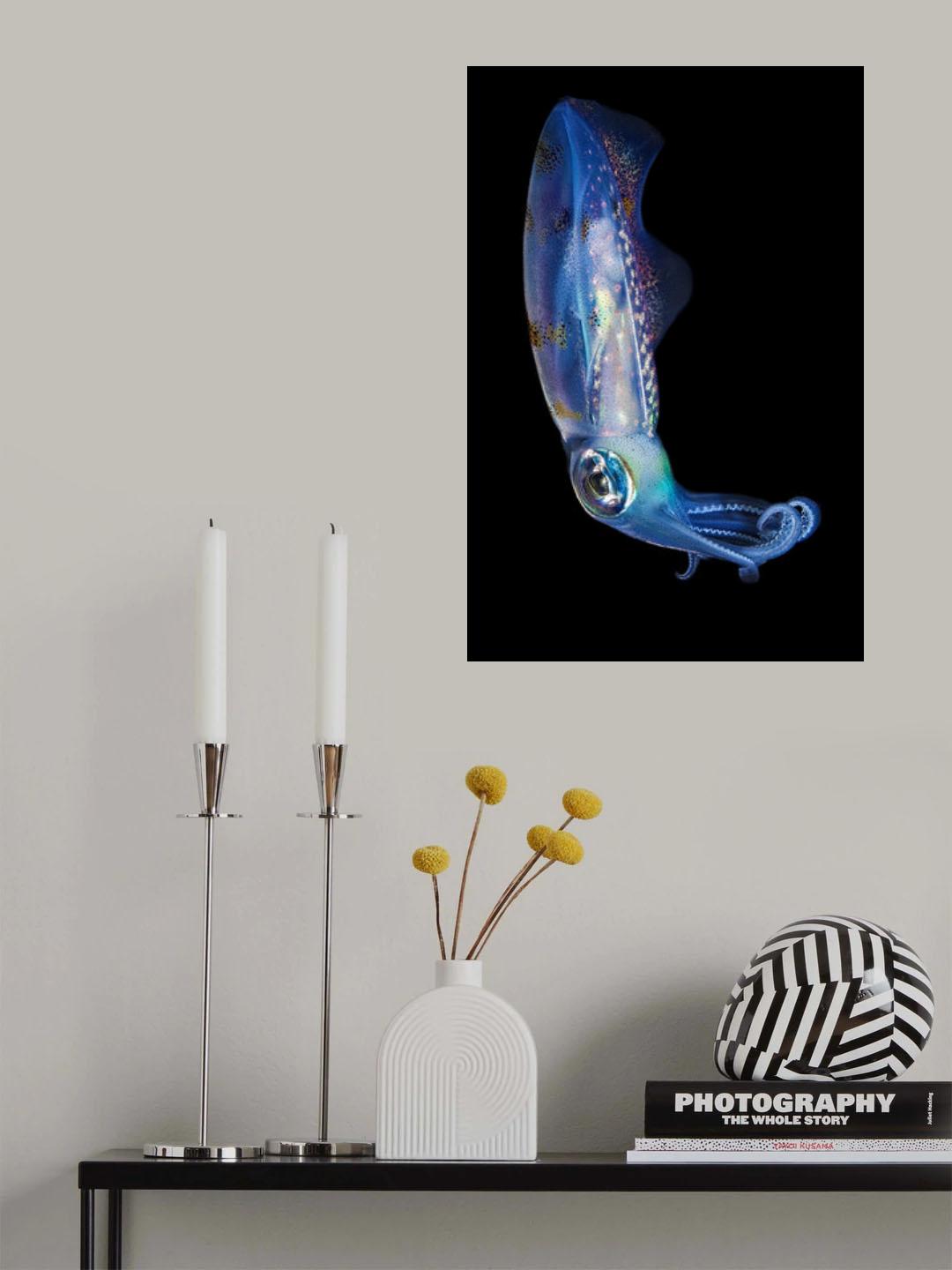 colours at night Poster och Canvastavla