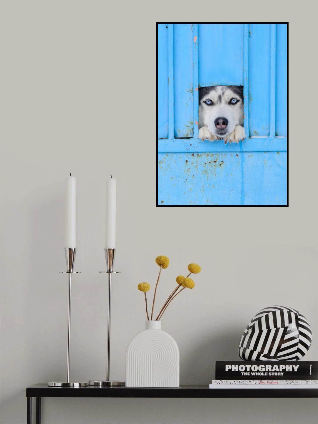 Blue Poster och Canvastavla