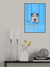 Blue Poster och Canvastavla