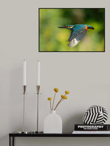 Common Kingfisher Poster och Canvastavla