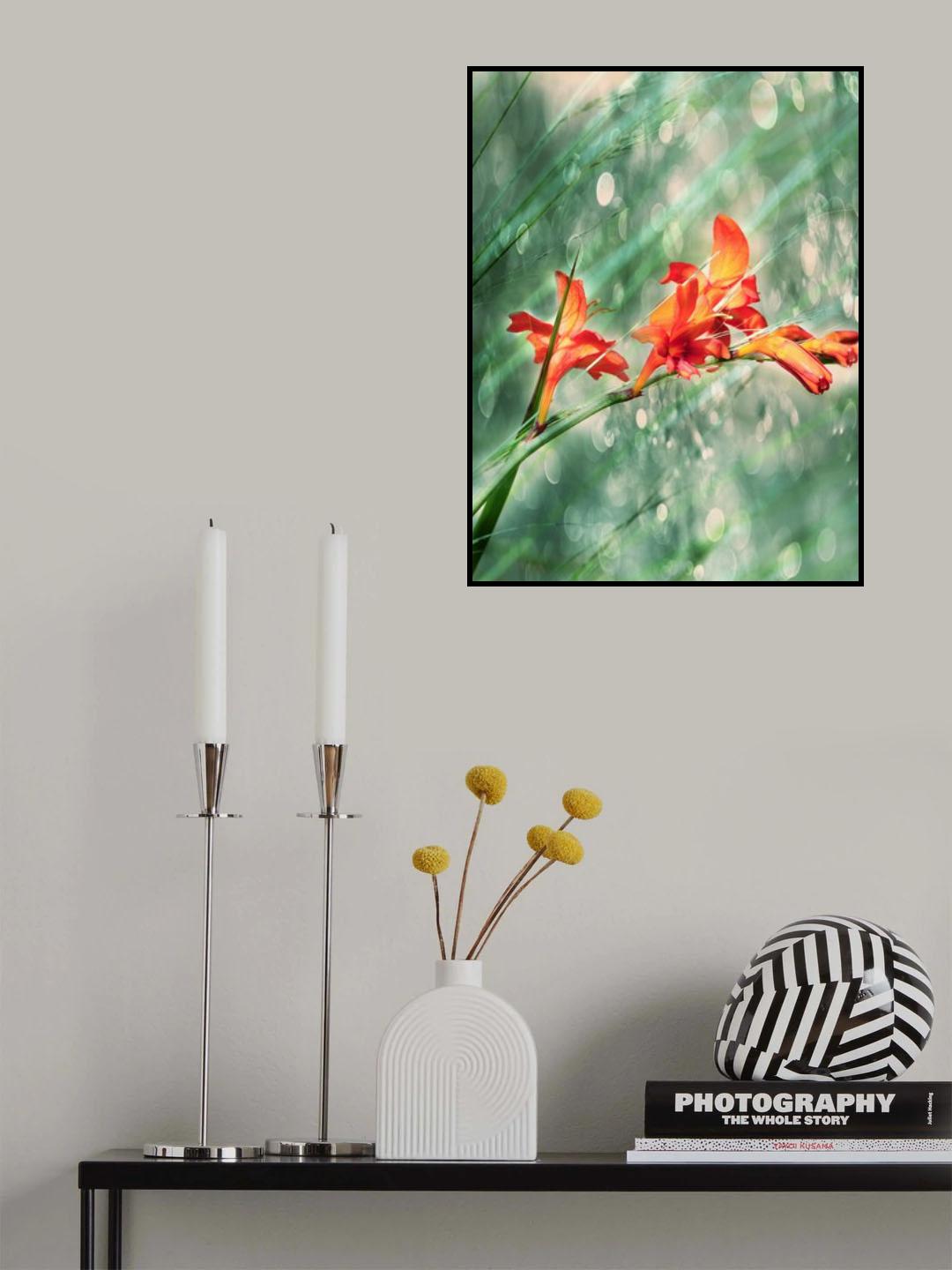 In the rain of light Poster och Canvastavla