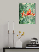 In the rain of light Poster och Canvastavla