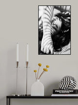 hase Poster och Canvastavla