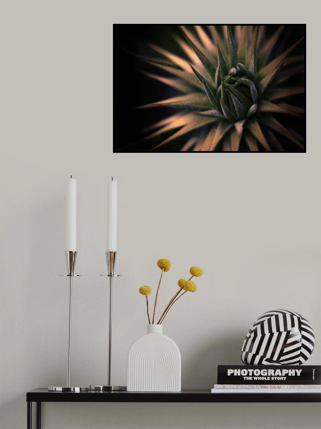 Spiky Poster och Canvastavla