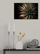Spiky Poster och Canvastavla