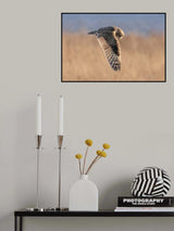 Hunting for Prey Poster och Canvastavla