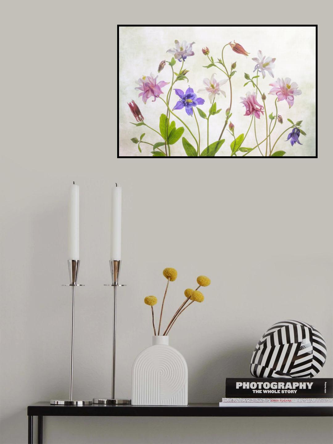 Columbine Poster och Canvastavla