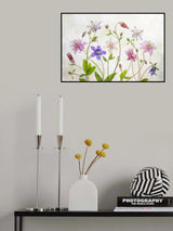 Columbine Poster och Canvastavla