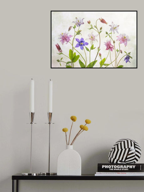 Columbine Poster och Canvastavla