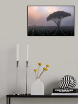 Marine Layer at Rosecrans Poster och Canvastavla