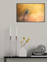 Lost in Bokeh Poster och Canvastavla