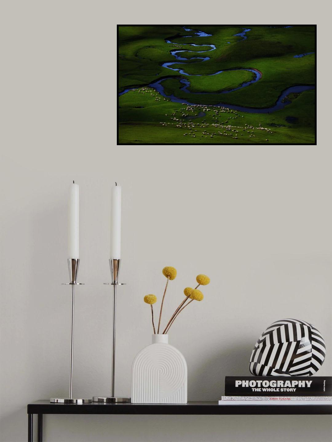 Herd and Light Poster och Canvastavla
