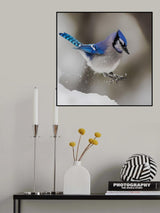 Jump Poster och Canvastavla