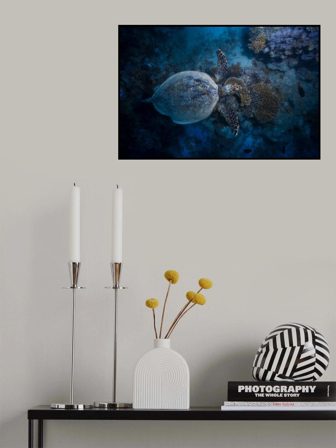Hawksbill sea turtle Poster och Canvastavla