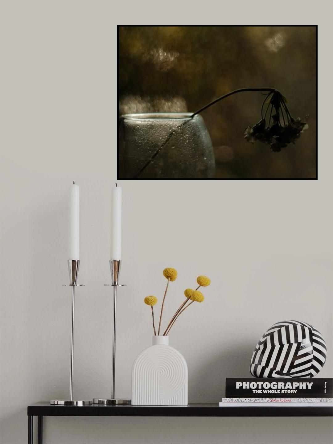 The Decline of the Day Poster och Canvastavla