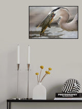 The Catch Poster och Canvastavla