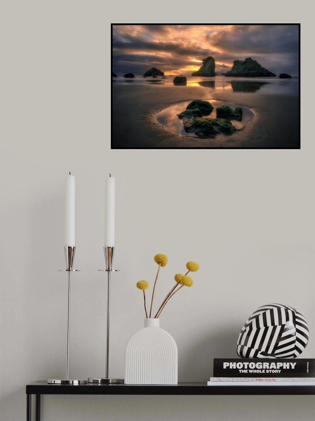 Tidepool Poster och Canvastavla