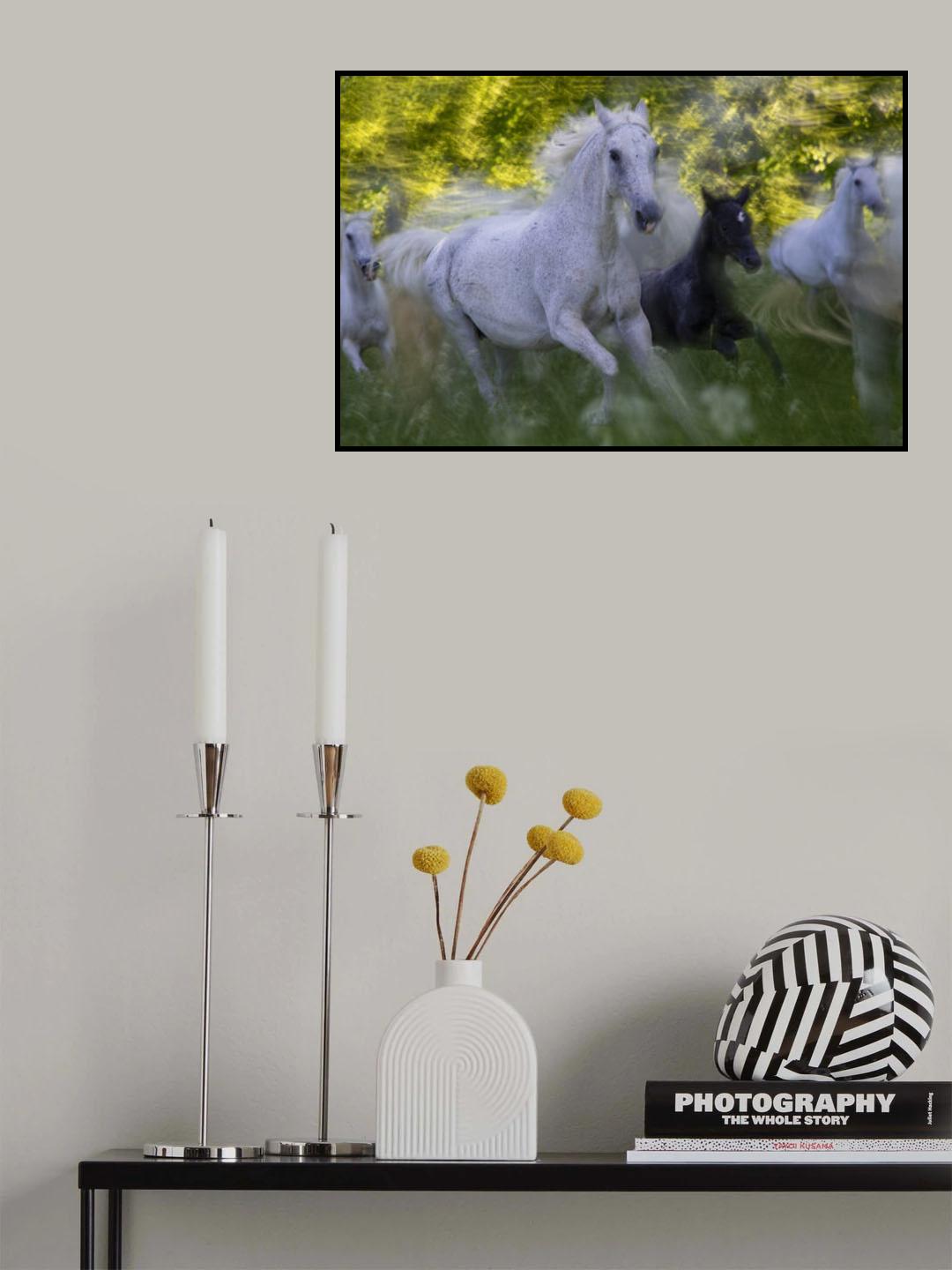 Mare and foal Poster och Canvastavla