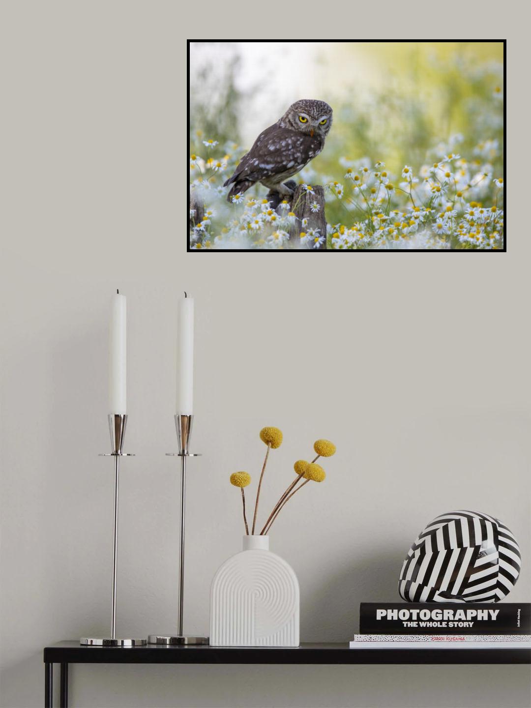 Eyes Poster och Canvastavla