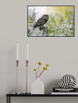 Eyes Poster och Canvastavla
