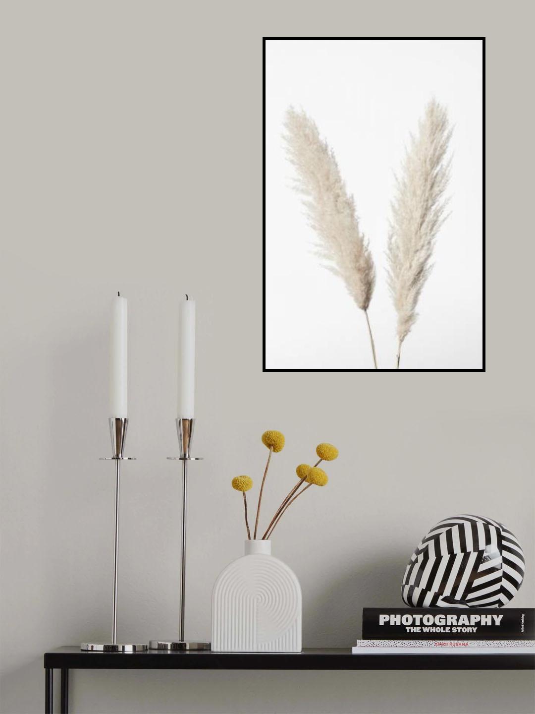 Pampas White Poster och Canvastavla