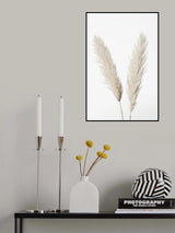 Pampas White Poster och Canvastavla