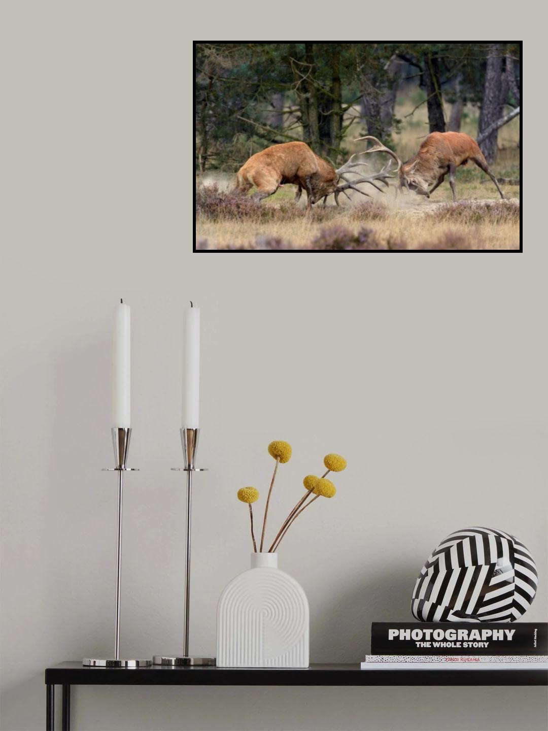 Clash of the titans Poster och Canvastavla