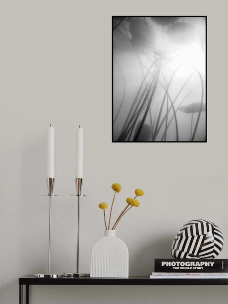 Water Lilly 01 Poster och Canvastavla