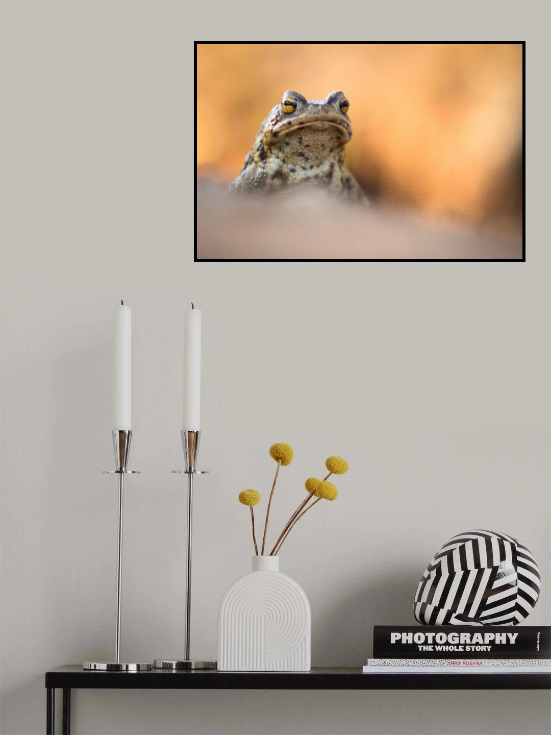 Frog Poster och Canvastavla