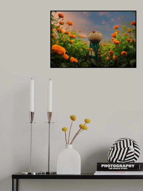 A Woman Picking Marigold Poster och Canvastavla