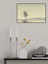 Tree on Top Poster och Canvastavla