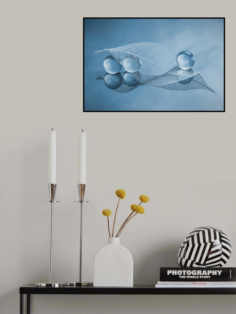 Dry leaf and Bubbles Poster och Canvastavla
