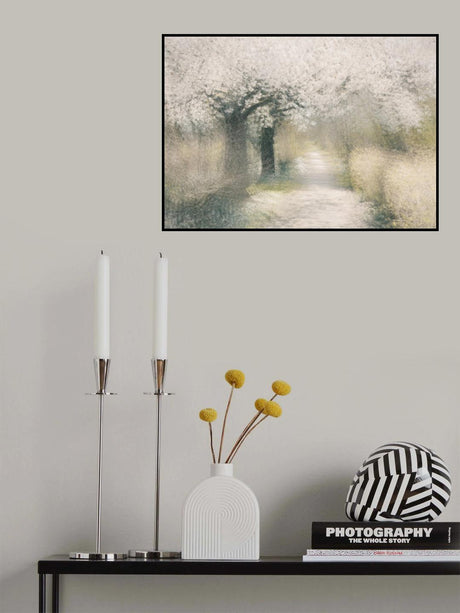 Cherry blossom Poster och Canvastavla