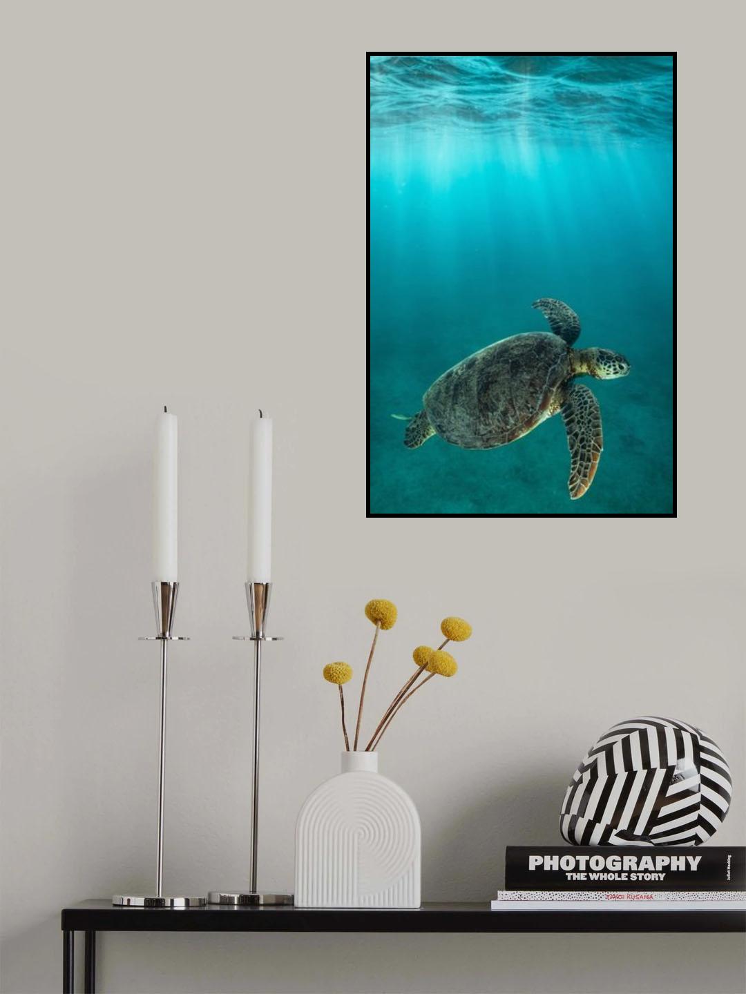 Into the light Poster och Canvastavla