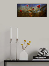 Field Poppy Poster och Canvastavla