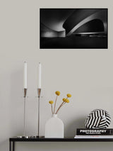 Niemeyer Poster och Canvastavla