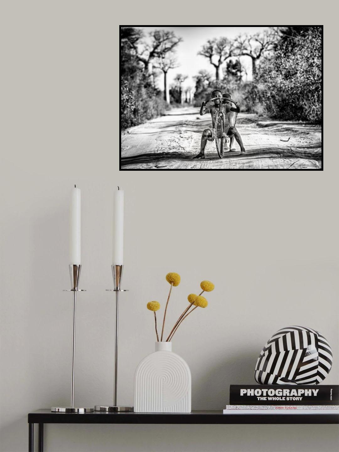 Having fun among baobabs Poster och Canvastavla